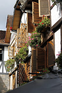 homes, architecture, building exterior, built structure, plant, building, house, flowering plant, nature, flower, residential district, no people, growth, potted plant, day, low angle view, window, outdoors, sunlight, freshness, lighting equipment, window box, flower pot, 4K, CC0, public domain, royalty free