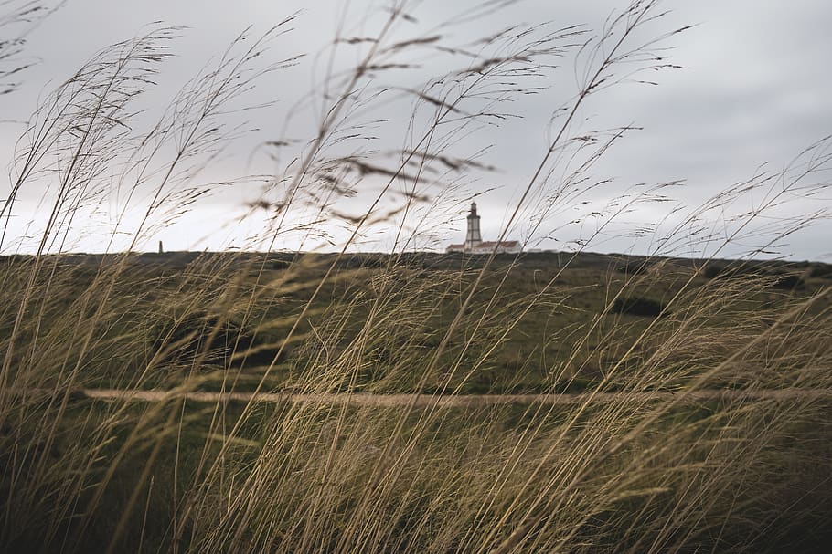 herbes marrons, edifici, arquitectura, planta, herba, cabo espichel, portugal, torre, naturalesa, far, aventura, farol, mar, viatge, trave, dia, humor, gespa, canya, passeig marítim, cel, camp, terra, creixement, núvol - cel, medi ambient, paisatge, tranquil·litat, cap gent, bellesa a la natura, escena tranquil·la, a l'aire lliure, estructura construïda, escena rural, agricultura, vent, herba de Timoteu, 5K