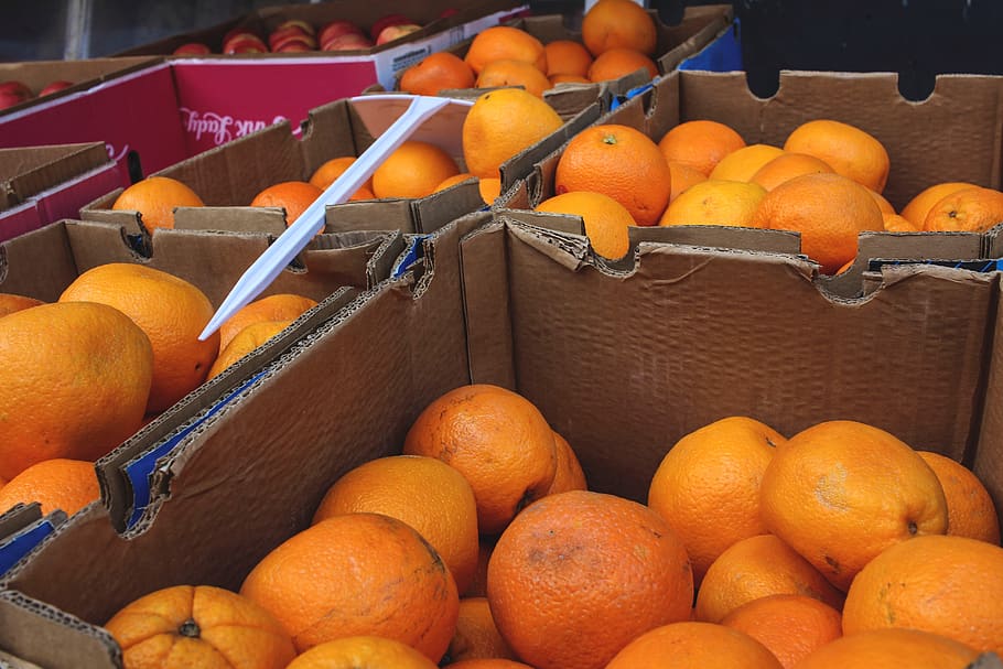 frutta, Bancarella della frutta, scatole, arance, salutare, stare in piedi, Fruttivendolo, arancia, dettaglio, prospettiva, delizioso, fresco, fruttato, dolce, vitamine, cibo, cibo e bevande, colore arancione, mangiare sano, agrumi, freschezza, benessere, mercato, grande gruppo di oggetti, bancarella, Al dettaglio, in vendita, abbondanza, contenitore, scatola, saldi, attività commerciale, nessuno, esposizione al dettaglio, consumismo, 5K