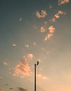 céu, lua, por do sol, luzes, lindo, nuvem - céu, iluminação pública, visão de baixo ângulo, rua, equipamento de iluminação, ninguém, beleza na natureza, natureza, silhueta, ao ar livre, cor laranja, tranquilidade, scenics - natureza, pólo, tecnologia, cena tranquila, vertebrado, luz solar, leve, lâmpada elétrica, 2K, CC0, domínio público, royalty free