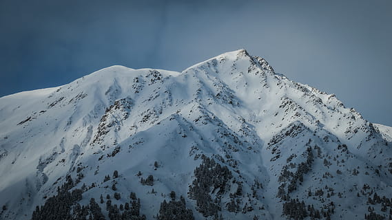 snow, winter, white, cold, weather, ice, trees, plants, nature, mountain, travel, adventure, hike, climb, cold temperature, beauty in nature, scenics - nature, snowcapped mountain, white color, tranquil scene, tranquility, sky, non-urban scene, no people, idyllic, day, covering, mountain range, majestic, mountain peak, extreme weather, coniferous tree, 5K, CC0, public domain, royalty free