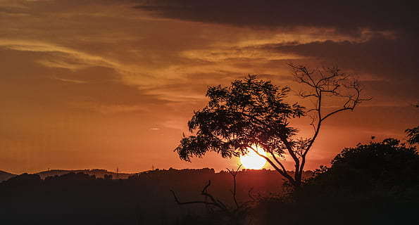 sun, twilight, red, clouds, romantic, summer, trees, afternoon, dusk, sky, silhouette, light, scenic, blaze, landscape, nature, beauty, tree, plant, sunset, beauty in nature, tranquil scene, tranquility, cloud - sky, scenics - nature, orange color, environment, no people, idyllic, dramatic sky, outdoors, non-urban scene, romantic sky, 5K, CC0, public domain, royalty free