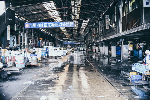 boxes, carts, inside, open, building, person, human, warehouse, hangar, terminal, factory, machine, tsujiki, fish market, office building, spoke, alloy wheel, wheel, walkway, path, manufacturing, box, cardboard, carton, architecture, built structure, building exterior, day, industry, incidental people, the way forward, city, direction, real people, outdoors, wet, market, domestic room, street, messy, 4K, CC0, public domain, royalty free