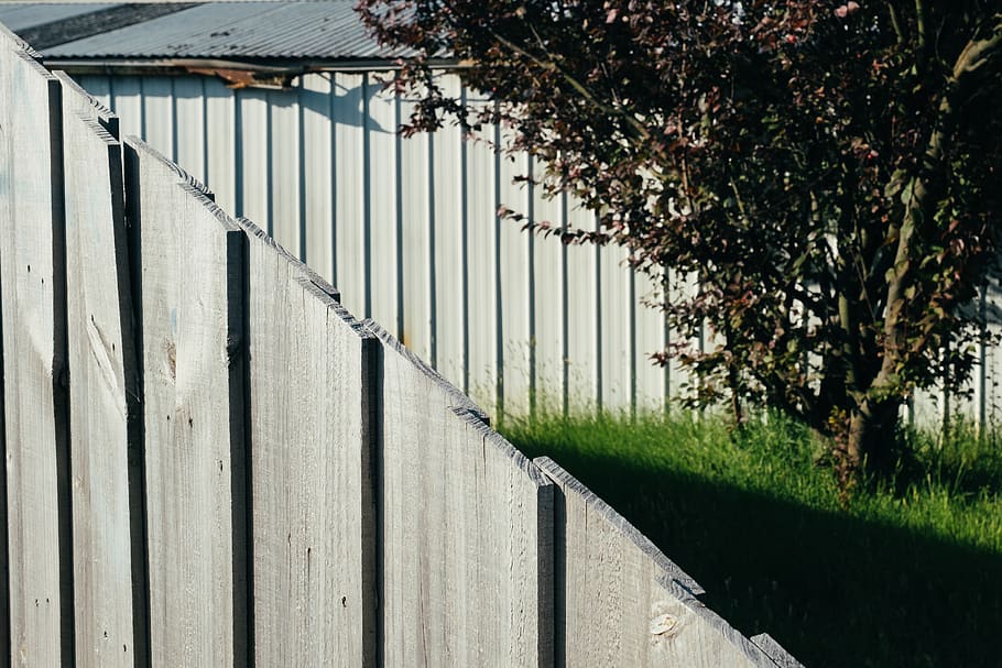 grønbladet træ, hegn, blokadevagt, udendørs, have, Lysthuset, træ, plante, stilleben, melbourne, suburbia, planter, hus, gade, sammenstilling, skifer, væg, arbejder, gartner, havearbejde, drivhus, arkitektur, bygget struktur, dag, ingen mennesker, natur, barriere, bygning udvendig, sikkerhed, grænse, beskyttelse, vækst, sollys, træ - materiale, murbygningsfunktion, metal, jern, bølgepap, 2K