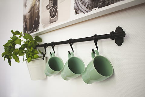 Hardware-, Maus, Elektronik, Computer, Stimmung, Design, Küche, Tapete, Koch, Kokon, Stil, ohmadeco, Licht, Arbeit, Leben, Deko, drinnen, Wand, Tellerhalter, Regal, keine Leute, hängend, grüne Farbe, Wandbau - Funktion, Stillleben, Nahansicht, in einer Reihe, Seite an Seite, Fokus auf den Vordergrund, Natur, Container, Tag, Gruppe von Objekten, Metall, Fenster, Pflanze, weiße Farbe, Tierdarstellung, 5K, CC0, gemeinfrei, lizenzfrei