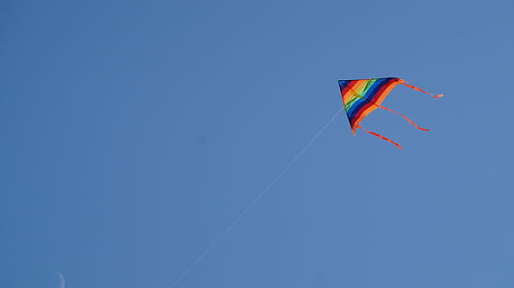 kite, sky, kite - toy, blue, flying, wind, copy space, clear sky, environment, nature, mid-air, multi colored, day, freedom, low angle view, sunny, string, toy, no people, fun, outdoors, 5K, CC0, public domain, royalty free