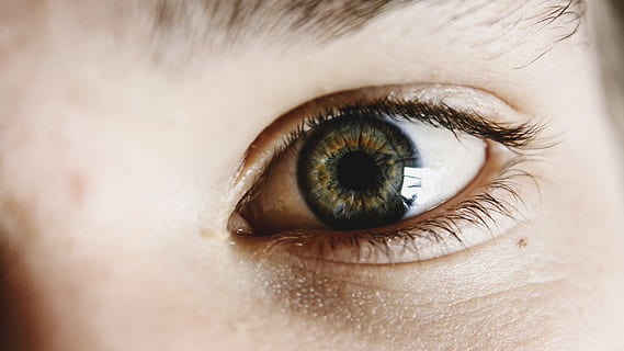 right human eye, eye, body part, human eye, eyesight, close-up, human body part, sensory perception, eyelash, one person, human face, eyeball, portrait, extreme close-up, iris - eye, offspring, child, reflection, looking, eyebrow, hazel eyes, contemplation, eyelid, 5K, CC0, public domain, royalty free