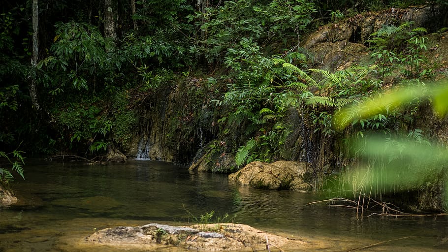 belize, Wald, Regenwald, Strom, Schwimmbad, natürlicher Pool, Urwald, Paradies, Pflanzen, üppig, Grün, Wasserfall, Wasser, Baum, Pflanze, Schönheit in der Natur, Ruhe, Rock, Szenen - Natur, solide, Natur, Rock - Objekt, Wachstum, ruhige Szene, Land, Nicht-städtische Szene, Fluss, keine Leute, grüne Farbe, üppiges Laub, fließendes Wasser, draußen, fließend, 4K