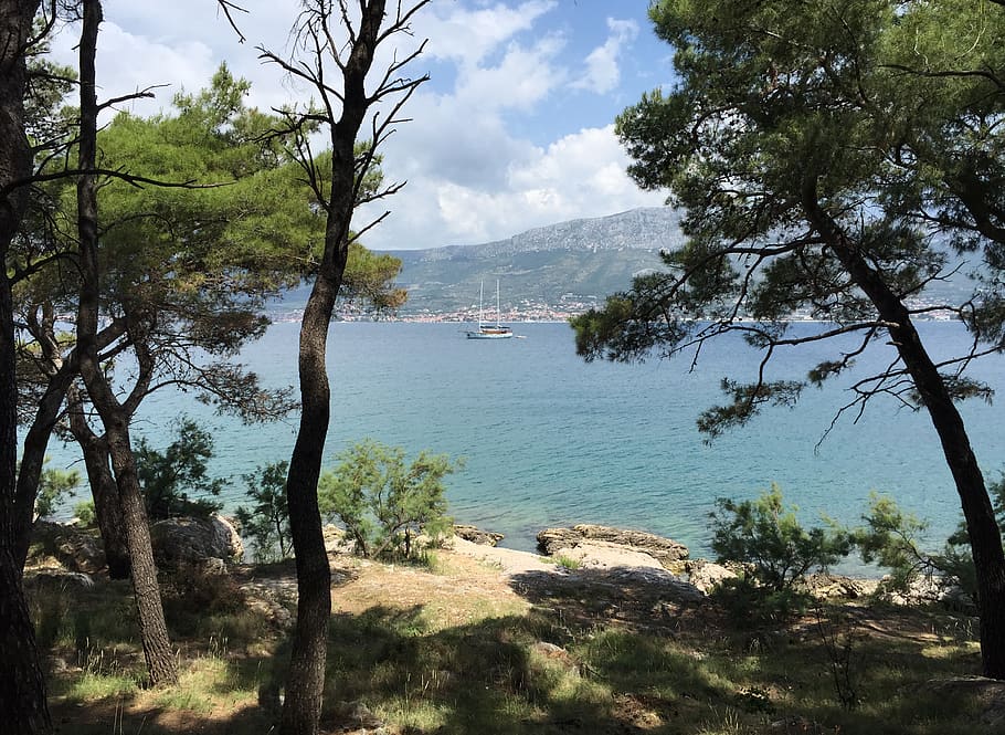 Croàcia, dividir, parc marjan, vela, aigua, bosc, arbres, mar, Costa, vaixell, arbre, planta, bellesa a la natura, escenics - natura, naturalesa, tranquil·litat, escena tranquil·la, cel, dia, muntanya, creixement, vaixell nàutic, terra, cap gent, núvol - cel, escena no urbana, transport, a l'aire lliure, veler, 2K