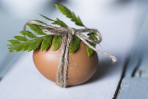 brown, egg, leaf, easter egg, macro, food and drink, food, close-up, freshness, indoors, no people, healthy eating, selective focus, wellbeing, still life, table, focus on foreground, plant part, nature, green color, studio shot, plant, 2K, CC0, public domain, royalty free