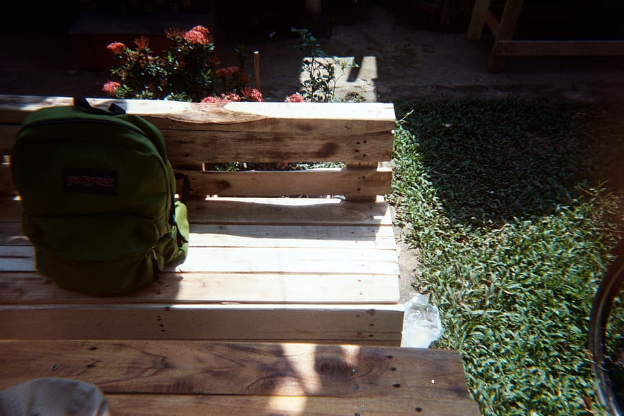 motxilla, superior, banc, flor, jardí, herba, gespa verda, llum, ningú, parc, seient, natura morta, llum solar, fusta, naturalesa, planta, material de fusta, dia, a l'aire lliure, animal, cap gent, temes d'animals, vista d’angle alt, color verd, davant o pati del darrere, roba, assolellat, un animal, creixement, ombra, contenidor, 2K