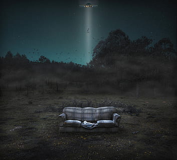 les, mlha, krajina, stromy, Studený, mystik, tajemný, pole, noc, temný, UFO, pro ostatní, nebe, tma, Příroda, hvězda, abduccion, únos, rostlina, strom, nikdo, přistát, opuštěný, životní prostředí, klid, krása v přírodě, scenics - příroda, venku, klidné scény, růst, absence, relaxace, tráva, 2K, CC0, veřejná doména, bez autorských práv
