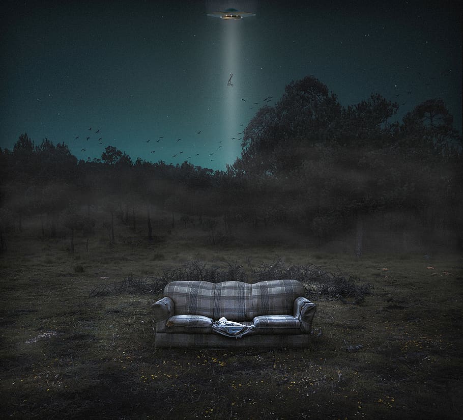 les, mlha, krajina, stromy, Studený, mystik, tajemný, pole, noc, temný, UFO, pro ostatní, nebe, tma, Příroda, hvězda, abduccion, únos, rostlina, strom, nikdo, přistát, opuštěný, životní prostředí, klid, krása v přírodě, scenics - příroda, venku, klidné scény, růst, absence, relaxace, tráva, 2K