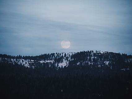 fotografia sosnowa, chmury, pochmurny, zimno, drzewo iglaste, świt, wieczór, mgła, mrożony, pełnia księżyca, wzgórze, lód, krajobraz, światło, góry, Natura, sceniczny, niebo, śnieg, zachód słońca, drzewa, pustynia, zimowy, Las, księżyc, drzewo, spokojna scena, scenics - natura, piękno natury, spokój, astronomia, przestrzeń, żadnych ludzi, noc, roślina, chmura - niebo, zmierzch, na dworze, scena pozamiejska, księżyc planetarny, sylwetka, 4K