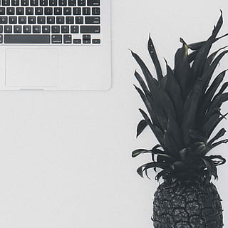Ananasfrucht, Hardware-, Computer, Tastatur, Computerhardware, Computer Tastatur, Elektronik, Pflanze, Ananas, Scott Webb Fotografie, Kanada, London, Laptop, Obst, Lebensmittel, MacBook, flach liegen, Overhead, weißer Hintergrund, pc, Matte, drinnen, Technologie, keine Leute, Nahansicht, Verbindung, kabellose Technologie, Computerausrüstung, Kommunikation, Wandbau - Funktion, kopieren sie platz, Tabelle, Wohngebäude, Natur, Wand, Zimmerpflanze, 2K, CC0, gemeinfrei, lizenzfrei