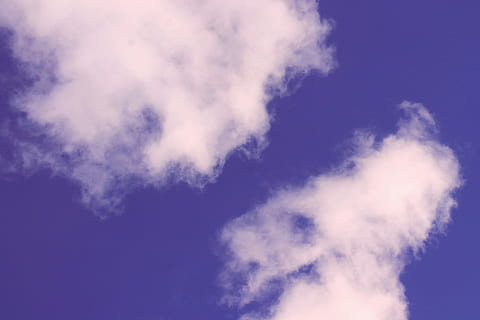 nubes blancas, naturaleza, cielo, nube, al aire libre, clima, cúmulo, cielo azul, llamarada, ligero, planta, vegetación, nubes, Dom, edificio, edificio de oficinas, flor, mimosa, aeronave, nube - cielo, azul, vista de ángulo bajo, belleza en la naturaleza, nadie, paisajes - naturaleza, día, el color blanco, antecedentes, humo - estructura fisica, paisaje de nubes, tranquilidad, ambiente, viento, idílico, mullido, fondos abstractos, directamente debajo, 4K, CC0, dominio público, libre de derechos