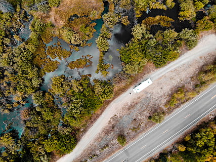 arbres amb fulles verdes, carretera, naturalesa, Amèrica, EUA, a l'aire lliure, manera, planta, paisatge, terra, aigua, vegetació, estiu, dji, campament, desaprofitar, jairph, jairph.ch, viatjar, arbre, vista d’angle alt, transport, cap gent, dia, bellesa a la natura, creixement, vista aèria, escenics - natura, manera de transport, escena no urbana, moviment, tardor, 4K, CC0, domini públic, lliure de regalies