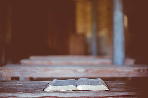 rezervovat, bible, čtení, stůl, rozmazat, dřevo - materiál, uvnitř, zaměřit se na popředí, nikdo, detail, absence, kopie prostor, den, stálý život, architektura, emoce, selektivní zaměření, jídlo a pití, náboženství, budova, sedadlo, podlaha, stavba, 5K, CC0, veřejná doména, bez autorských práv