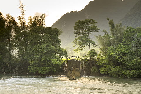 grünblättrige Bäume, eine lange, Fluss, wunderschönen, Kaskade, Tageslicht, Umgebung, Nebel, Grün, Landschaft, Berg, Natur, draußen, Regenwald, szenisch, Sommer-, Tourismus, Reise, Bäume, Wasser, Wasserrad, Holz, Wald, Baum, Pflanze, Ufergegend, Schönheit in der Natur, Wachstum, keine Leute, Tag, Szenen - Natur, fließendes Wasser, grüne Farbe, Land, Brücke, Verbindung, Brücke - künstliche Struktur, gebaute Struktur, fließend, 5K, CC0, gemeinfrei, lizenzfrei