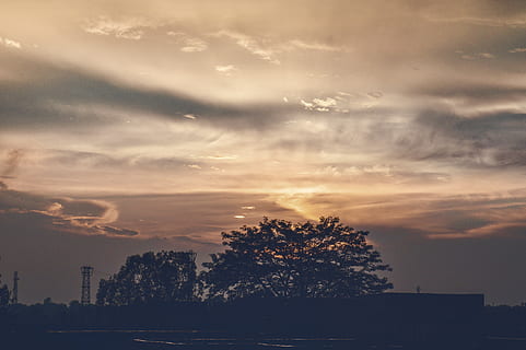 India, Ranchi, nuvole, alberi, tramonto, cielo, paesaggio, arancia, natura, nuvola - cielo, albero, bellezza nella natura, scenics - natura, pianta, nessuno, silhouette, scena tranquilla, la tranquillità, architettura, struttura costruita, all'aperto, acqua, esterno dell'edificio, idilliaco, luce del sole, 5K, CC0, dominio pubblico, privo di copyright