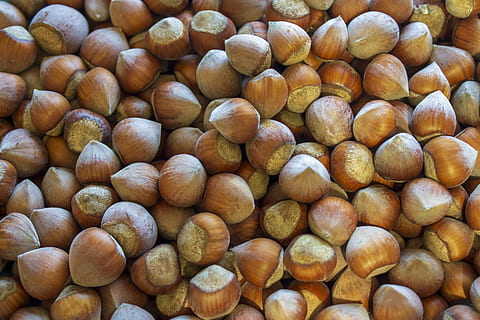 avellana, shell, menjar, menjar i beguda, gran grup d'objectes, frescor, alimentació saludable, natura morta, benestar, fons, abundància, nou, nou - aliments, cap gent, marc complet, a la venda, marró, primer pla, vista d’angle alt, a l'interior, mercat, berenar, 5K, CC0, domini públic, lliure de regalies
