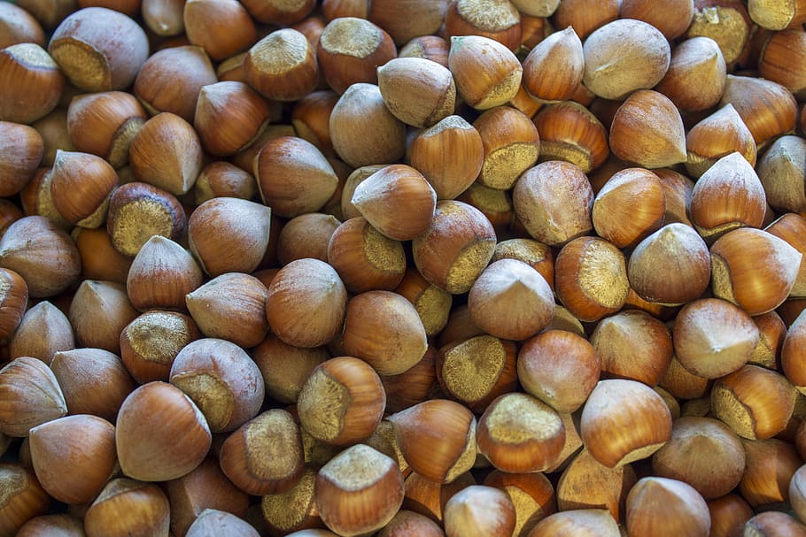 avellana, shell, menjar, menjar i beguda, gran grup d'objectes, frescor, alimentació saludable, natura morta, benestar, fons, abundància, nou, nou - aliments, cap gent, marc complet, a la venda, marró, primer pla, vista d’angle alt, a l'interior, mercat, berenar, 5K