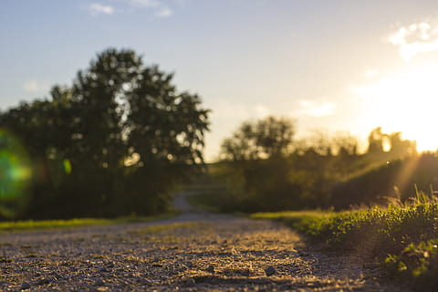 Licht, Strahlen, Frühling, Sommer-, Gras, Landschaft, Kies, Schmutz, Straße, Auffahrt, Bäume, Sonne, Sonnenuntergang, Pflanze, Baum, Himmel, Natur, Sonnenlicht, Wachstum, Feld, Land, Ruhe, keine Leute, Schönheit in der Natur, Tag, selektiver Fokus, Richtung, ruhige Szene, Szenen - Natur, draußen, Linseneffekt, Oberflächenniveau, 5K, CC0, gemeinfrei, lizenzfrei