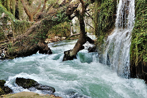 cascada, riu, streaming, bosc, naturalesa, antalya, duden, gall dindi, dd, tardor, que flueix, flux, ambiental, moure, persona, planta, viatjar, festa, esports, exercici, campament, tenda, esportiu, bellesa a la natura, arbre, moviment, aigua, escenics - natura, aigua que flueix, moviment borrós, terra, cap gent, exposició llarga, rock, dia, creixement, medi ambient, escena no urbana, a l'aire lliure, poder a la natura, 5K, CC0, domini públic, lliure de regalies