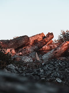 registre marró, òxid, pissarra, vaixell, transport, vehicle, naufragi, runes, rock, bunker, edifici, ruïnes, barana, avions, avió, aterratge, promontori, forat, cel, rock - object, cel clar, cap gent, sòlid, naturalesa, còpia espai, formació de roca, tranquil·litat, dia, escena tranquil·la, aspre, textura, arbre, bellesa a la natura, vista d’angle baix, escenics - natura, planta, escena no urbana, a l'aire lliure, erosionat, formació, 4K, CC0, domini públic, lliure de regalies