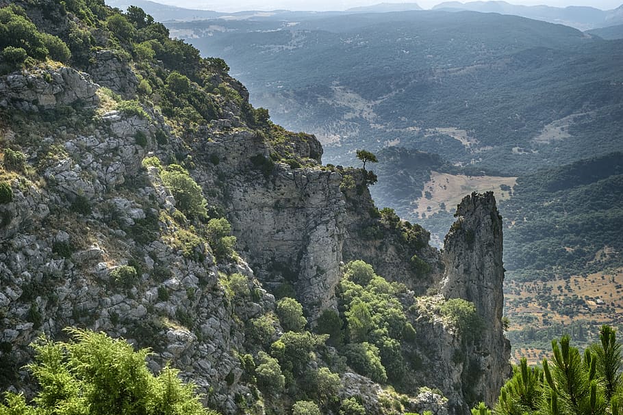 paisatge, muntanya, senderisme, pic, grazalema, cadiz, espanya, planta, rock, sòlid, arbre, rock - object, terra, bellesa a la natura, naturalesa, escenics - natura, formació de roca, penya-segat, escena tranquil·la, boira, a l'aire lliure, medi ambient, destinacions de viatge, tranquil·litat, Serra, cap gent, formació, 5K