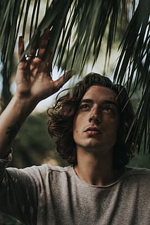 hombre, gris, camisa, en pie, verde, palmera, retrato, una persona, disparo a la cabeza, jóvenes, adulto joven, vista frontal, gente real, estilos de vida, árbol, actividad de ocio, de cerca, día, clima tropical, planta, ropa casual, mirando a la cámara, al aire libre, hoja de palma, cara humana, peinado, 4K, CC0, dominio público, libre de derechos