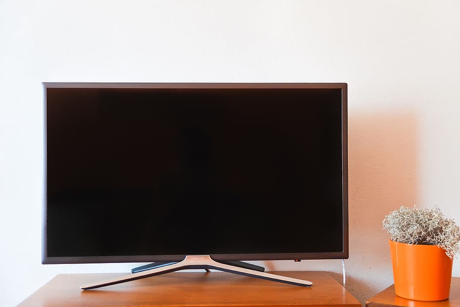 televisió, tecnologia, a l'interior, cap gent, tir de l'estudi, planta, comunicació, color negre, còpia espai, taula, flor, naturalesa, tallar, planta amb flors, en blanc, modern, planta en test, equips informàtics, primer pla, monitor d’ordinador, pantalla plana, test de flor, 4K
