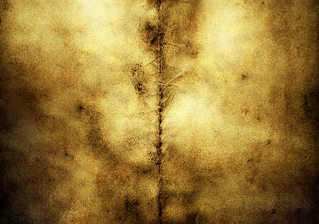 fundal, frontieră, maro, ars, pânză, murdărie, grunge, grungy, vechi, pagină, textură, fundaluri, texturată, nici o persoana, montare pe perete, aur colorat, abstract, texturat efect, model, cadru complet, în interior, vinietă, murdar, a închide, creativitate, noapte, fundaluri abstracte, 2K, CC0, domeniu public, fără drepturi de autor