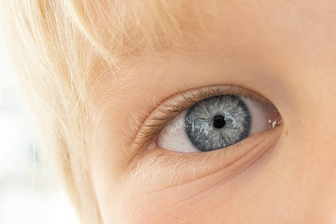 ojo humano, hermoso, ojos bonitos, de cerca, linda, ojo, ceja, pestañas, macro, persona, visión, parte del cuerpo humano, vista, parte del cuerpo, percepcion sensorial, una persona, pestaña, primer plano extremo, adulto, mujer, adentro, ojos azules, foto de estudio, mirando, retrato, mirando a la cámara, iris - ojo, acecho, globo del ojo, cara humana, contemplación, 2K, CC0, dominio público, libre de derechos
