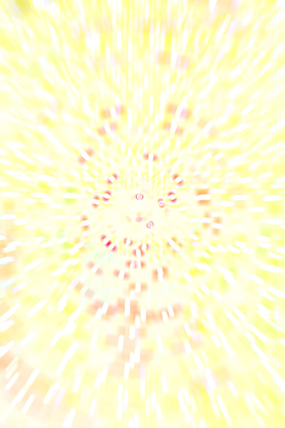 resum, teló de fons, fons, bonic, bellesa, borrós, brillant, reflector, cercle, primer pla, color, de colors, colorit, concepte, creativitat, decoració, descriptiu, disseny, efecte, luxós, moda, flamarada, vidre, purpurina, brillar, imatge, llum, modern, ornaments, patró, raigs, vermell, reflexió, rodó, formes, esfera, lloc, remolí, textura, translúcid, transparent, vibrant, viva, fons de pantalla, groc, marc complet, cap gent, il·luminat, moviment borrós, moviment, naturalesa, bellesa a la natura, color rosa, exposició llarga, planta amb flors, a l'aire lliure, frescor, inflorescència, 4K