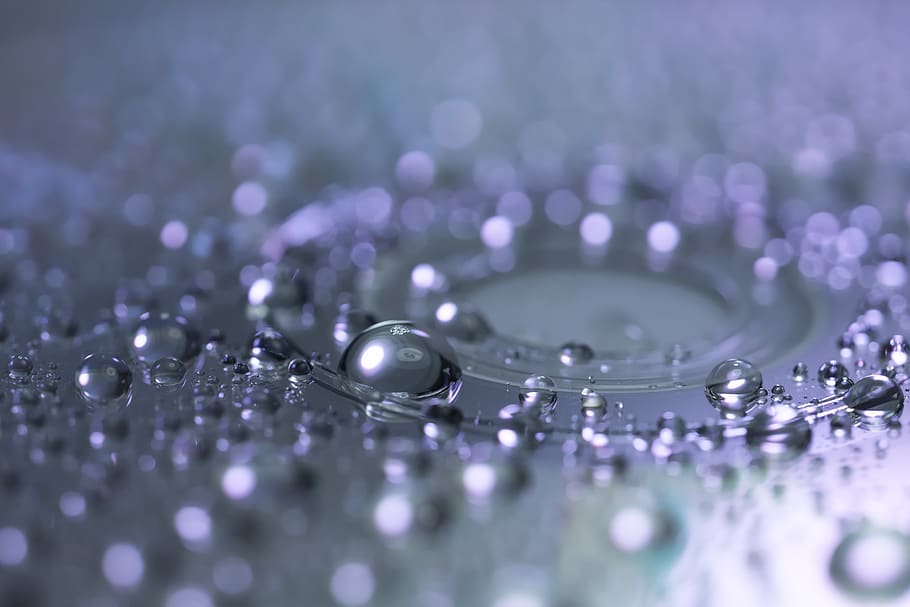 ripple effect clip art, beads, blur, bubble, clean, clear, color, dew, digital, disk, drop, droplet, droplets, drops of water, focus, light, liquid, macro, purity, rain, raindrops, reflection, shiny, silver, splash, turquoise, water, wet, selective focus, close-up, no people, backgrounds, extreme close-up, full frame, indoors, purple, studio shot, splashing, motion, copy space, pattern, blue, abstract, luxury, surface level, raindrop, 4K
