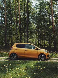 hatchback 5 porte arancione, auto, sentiero, albero, parcheggiata, foresta, bosco, erba, verde, ranuncolo, viaggio su strada, natura, viaggio, trasporto, veicolo, giallo, estate, Peugeot 108, peugeot, fiore, all'aperto, veicolo terrestre, mezzi di trasporto, modalità di trasporto, strada, colore verde, nessuno, giorno, scena non urbana, ambiente, scena rurale, luce del sole, brillante, paesaggio, Paesaggi, ruota, Germania, 5K, CC0, dominio pubblico, privo di copyright
