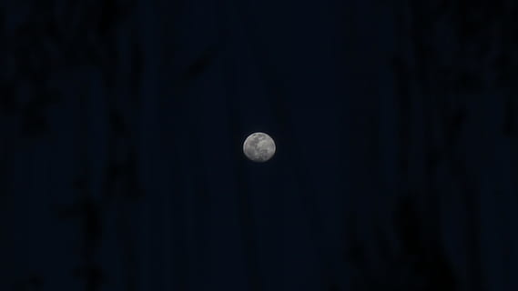 gråmåne, natur, udendørs, måne, univers, astronomi, ydre rum, plads, nat, fuldmåne, formørkelse, måneformørkelse, ocean, vand, hav, komet, is, planet, stjernehimmel, landskab, sfære, himmel, ingen mennesker, skønhed i naturen, kopiere plads, mørk, ro, scenics - natur, rolig scene, cirkel, sort farve, solsystem, lav vinkel visning, planetmåne, sort baggrund, måneskin, rum og astronomi, 5K, CC0, offentligt domæne, royaltyfrie