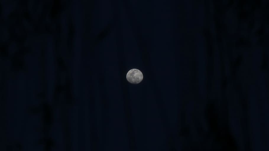 šedý měsíc, Příroda, venku, měsíc, vesmír, astronomie, prostor, noc, úplněk, zatmění, zatmění Měsíce, oceán, voda, moře, kometa, led, planeta, Hvězdná obloha, scenérie, koule, nebe, nikdo, krása v přírodě, kopie prostor, temný, klid, scenics - příroda, klidné scény, kruh, Černá barva, Sluneční Soustava, nízký úhel pohledu, planetární měsíc, černé pozadí, měsíční svit, prostor a astronomie, 5K