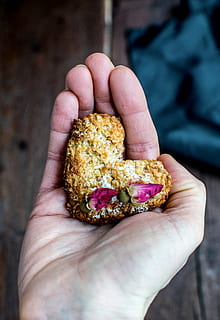 Plätzchen, Kokos-Cookie, menschliche Hand, Hand, halten, Essen und Trinken, eine Person, Lebensmittel, menschliches Körperteil, Frische, echte Menschen, Nahansicht, nicht erkennbare Person, Wohlbefinden, Fokus auf den Vordergrund, Körperteil, Lebensstile, persönliche Perspektive, gesundes Essen, fertig für den Verzehr, Tag, Finger, Snack, Versuchung, 5K, CC0, gemeinfrei, lizenzfrei