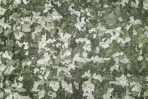 grigio, bianca, calcestruzzo, superficie, sfondo, camuffare, modello, parete, sfondi, strutturato, fotogramma intero, ruvido, intemperie, nessuno, vecchio, caratteristica della parete, corri giù, sbucciare, danneggiato, architettura, dipingere, deterioramento, avvicinamento, struttura costruita, declino, sporco, astratto, effetto strutturato, rovinato, 5K, CC0, dominio pubblico, privo di copyright