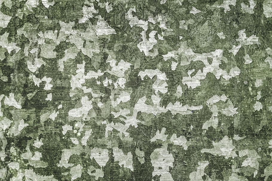 gris, blanc, concret, superfície, fons, camuflatge, patró, paret, textura, marc complet, aspre, resistent, cap gent, vell, funció de construcció de parets, aixafar, descamació, espatllat, arquitectura, pintura, deteriorament, primer pla, estructura construïda, declivi, brutícia, brut, resum, efecte texturat, arruïnat, 5K