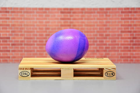 easter egg, easter, colored, colorful, egg, color, colorful eggs, happy easter, easter eggs, easter egg painting, easter decor, easter greeting, easter decorations, decoration, painted, food, range, euro pallet, eggs transportation, colored eggs, easter greetings, easter theme, easter celebration, easter bunny, customs, brick, brick wall, wall, sphere, education, no people, wood - material, ball, indoors, wall - building feature, close-up, toy, still life, publication, finance, globe - man made object, architecture, table, learning, 5K, CC0, public domain, royalty free