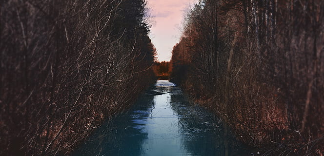 vista tranquil·la sobre el riu, holandès, aigua, a l'aire lliure, herba, planta, bosc, terra, naturalesa, chanel, tardor, riu, canal, Camí, inundació, gespa, canya, paisatge, bog, pantà, perspectiva decreixent, el camí a seguir, cap gent, direcció, reflexió, arbre, dia, davant del mar, arquitectura, punt de fuga, estret, tranquil·litat, sendera, estructura construïda, carreró, llarg, treelined, 4K, CC0, domini públic, lliure de regalies