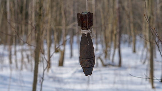 war, shell, mine, weapons, cannon, army, ammunition, shooting, bullets, weaponry, history, battle, military, steel, artillery, dangerous, cartridge, winter, snow, cold temperature, tree, nature, plant, focus on foreground, no people, land, tranquility, day, cattail, wood - material, forest, tree trunk, beauty in nature, trunk, outdoors, non-urban scene, wooden post, 5K, CC0, public domain, royalty free