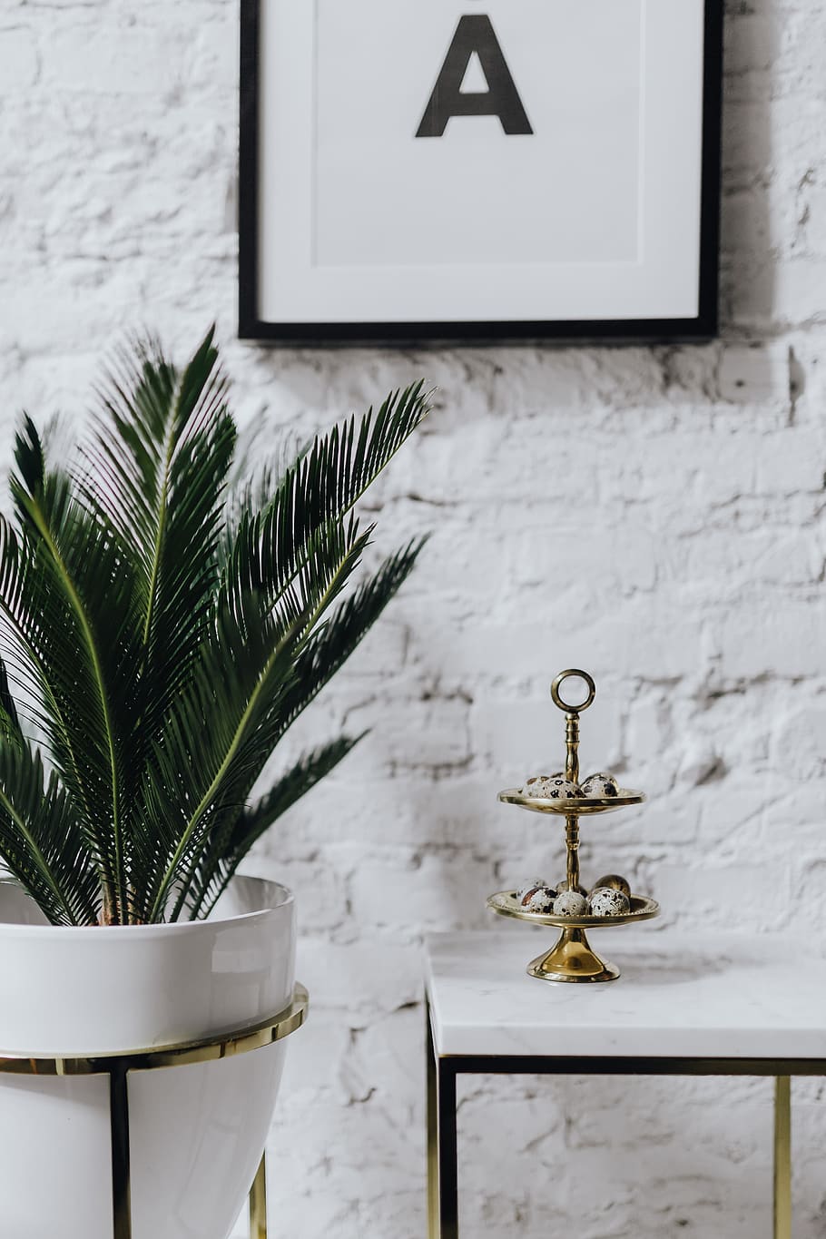 quail eggs, white, marble, eggs, easter, quail, Un'common, uncommon, no people, plant, wall - building feature, indoors, potted plant, communication, nature, table, home interior, lighting equipment, picture frame, day, decoration, wall, frame, white color, still life, architecture, leaf, 4K
