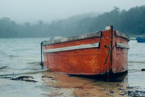 Mexique, comitán, navire nautique, eau, mode de transport, transport, la nature, journée, personne, brouillard, mer, amarré, terre, paysages - nature, scène tranquille, tranquillité, en plein air, plage, bois - matériau, canot à rames, la pollution, 4K, CC0, domaine public, libre de droits