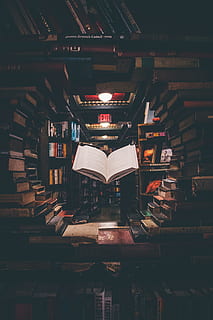 vista, galleggiante, Aperto, libro, impilati, libri, biblioteca, libreria, pagina, interno, segnale d'uscita, letteratura, fluttuare in aria, elevare, buio, cerchio, misterioso, vecchio, conoscenza, lightroom cc, lunatico, photoshop, creativo, formazione scolastica, apprendimento, scaffale, lettura, Università, manuale, saggezza, studiando, in casa, libro con copertina rigida, in stile retrò, vecchio stile, enciclopedia, mensola, sfondi, alunno, notte, scienza, nessuno, 5K, CC0, dominio pubblico, privo di copyright