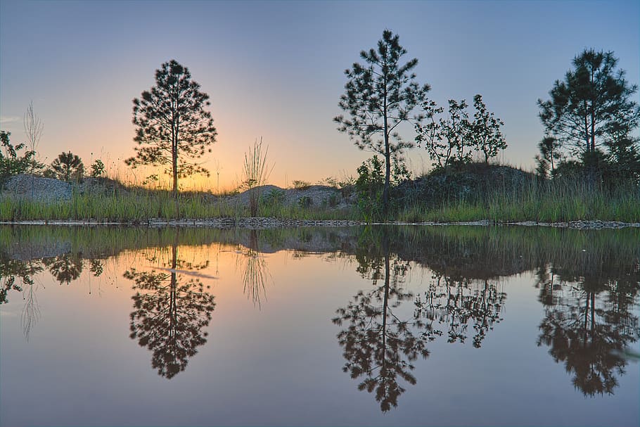 træer, vand, afspejling, natur, landskab, sø, træ, himmel, farvande, sommer, sol, spejling, udendørs, naturskøn, solnedgang, Belize, spansk udkig, Perfekt, fyrretræer, klar, ro, plante, rolig scene, scenics - natur, skønhed i naturen, havnefronten, ikke-urbane scene, ingen mennesker, symmetri, idyllisk, stående vand, refleksions søen, 5K