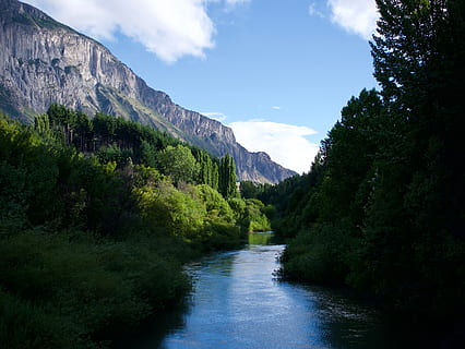 bosc, llac, arbre, muntanya, xile, montana, rio, bosque, Patagonia, paisatge, riu, al sud, coyhaique, escenics - natura, bellesa a la natura, aigua, cel, escena tranquil·la, tranquil·litat, planta, escena no urbana, núvol - cel, cap gent, naturalesa, dia, idíl·lic, color verd, creixement, aigua que flueix, que flueix, 4K, CC0, domini públic, lliure de regalies